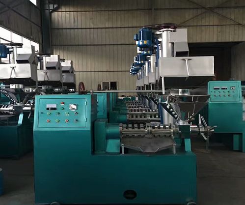 全自動(dòng)榨油機(jī)設(shè)備的正確安裝方法