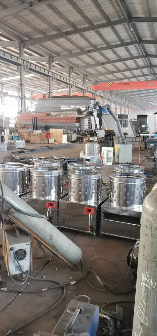 大型商用全自動(dòng)脫毛機(jī)產(chǎn)品介紹與潤滑設(shè)備咨詢指南